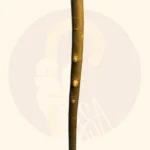 عصای کوهسار کد SA0043