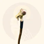 عصای آتوس کد SA0051