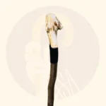 عصای نوما کد SA0055