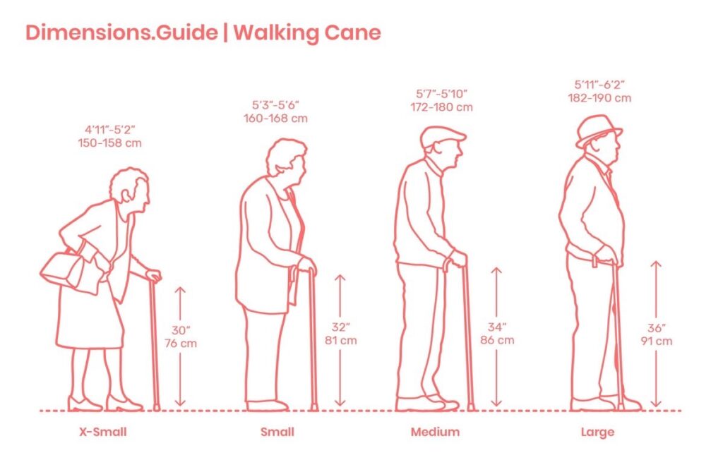Setting the cane