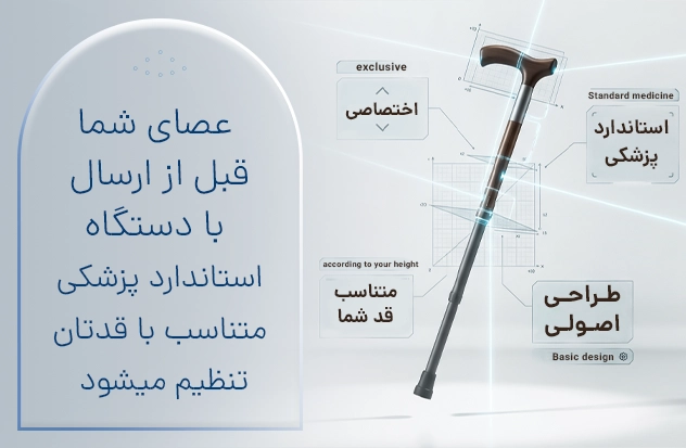 site asadast _ cane size mini copy (1)
