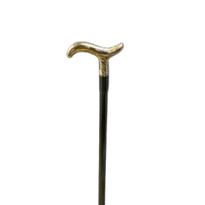 Cane handle