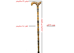 Cane handle and height