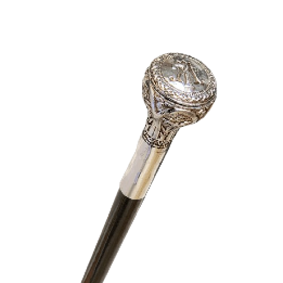 Luxury walking cane